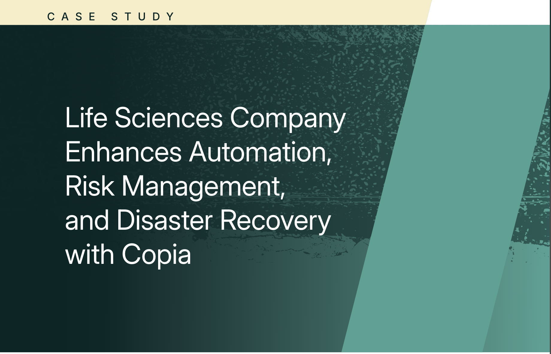 A presentation slide titled "Case Study" discusses how a life sciences company improves automation, risk management, and